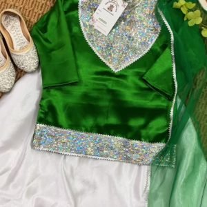 Green White Madhuri Dixit Outfit